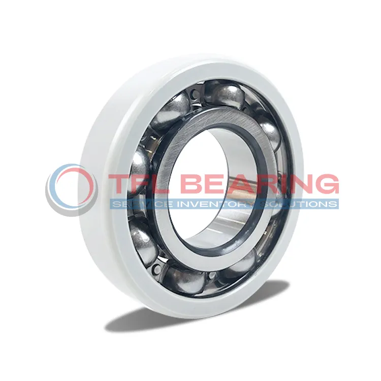 FAG Current-Insulated Bearings 6024-J20AB-C3